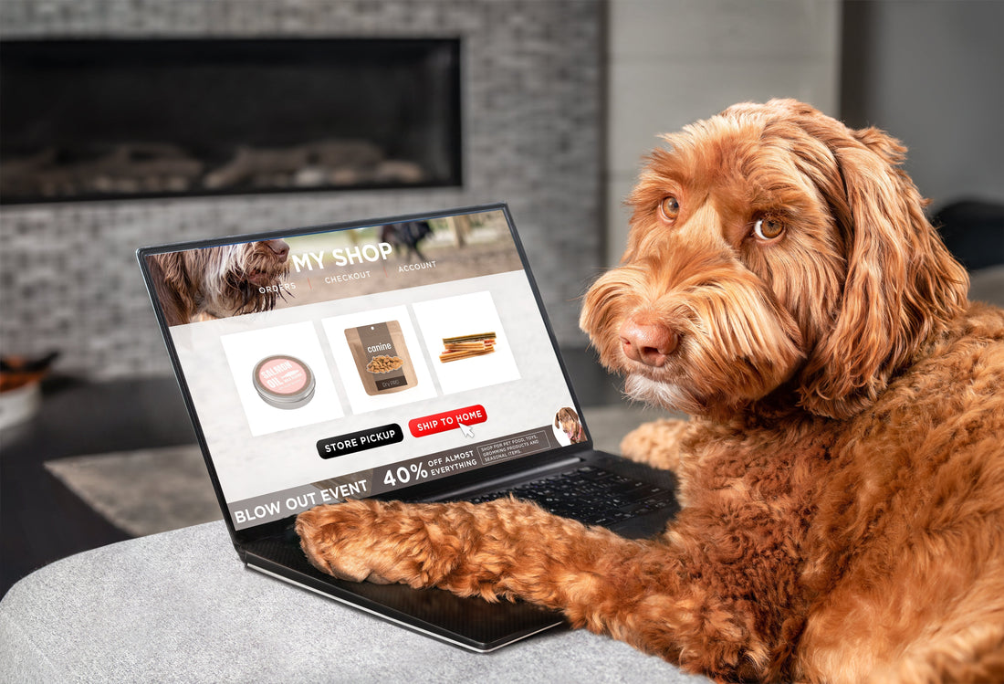 Whisker & Paw Blog page