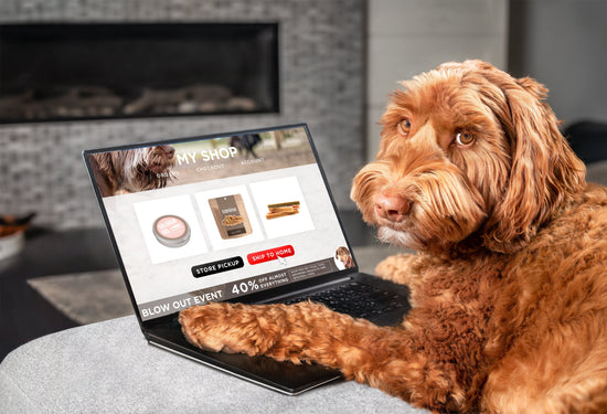 Whisker & Paw Blog page