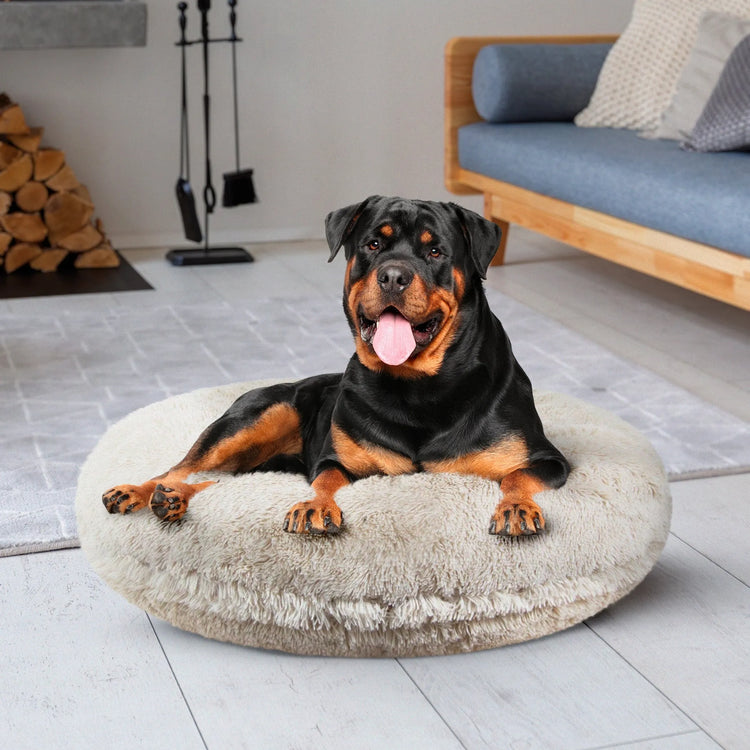 Pet Beds