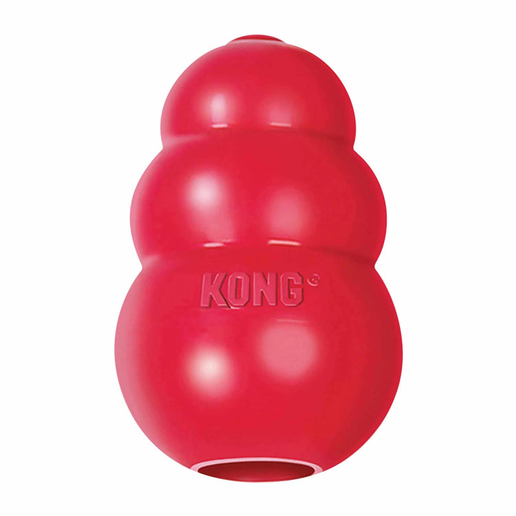 Kong Dog Toy Collection
